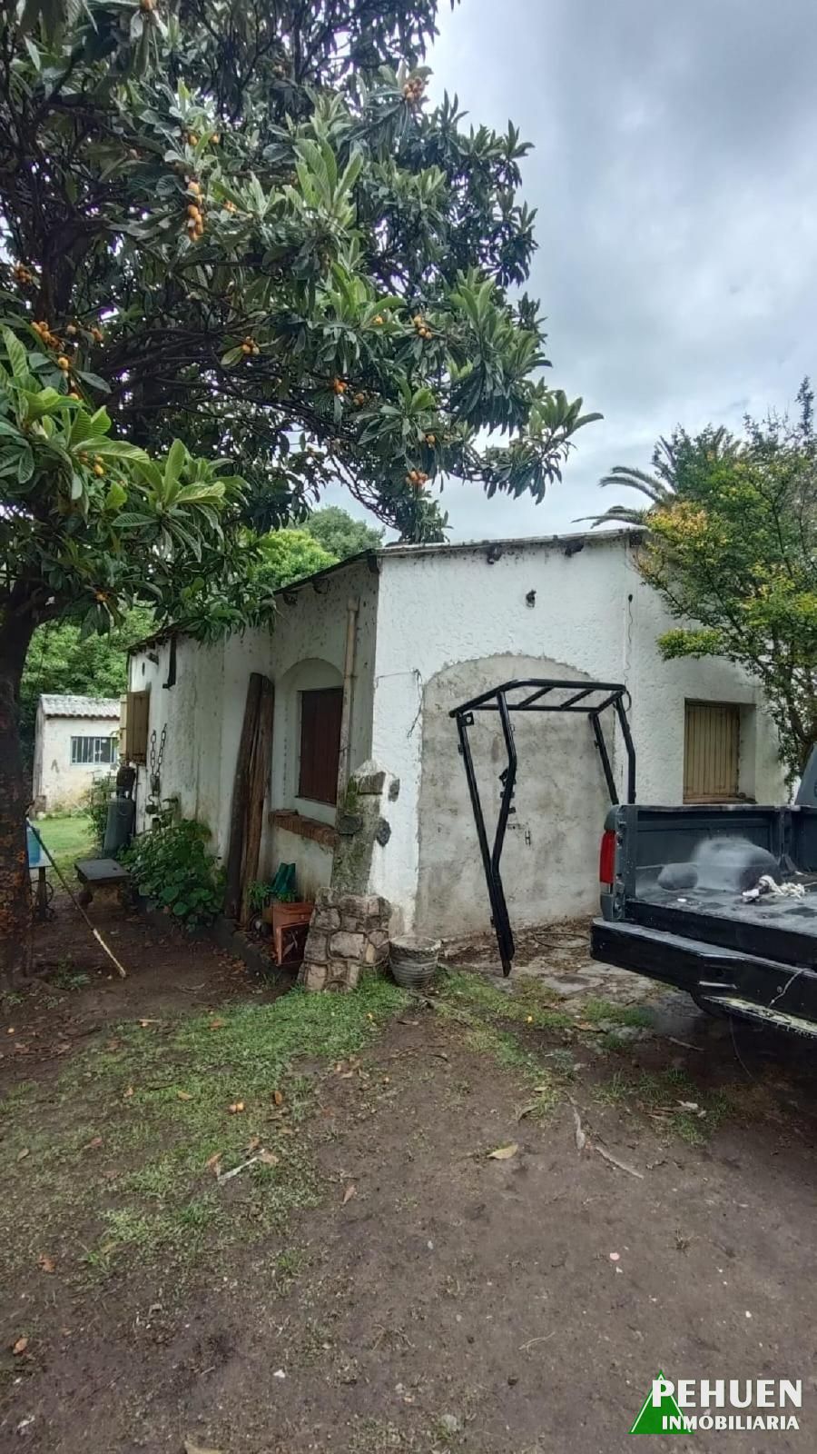 Belgrano 236