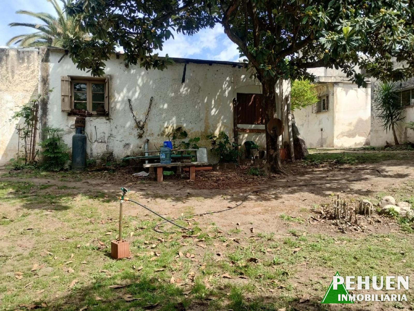 Belgrano 236