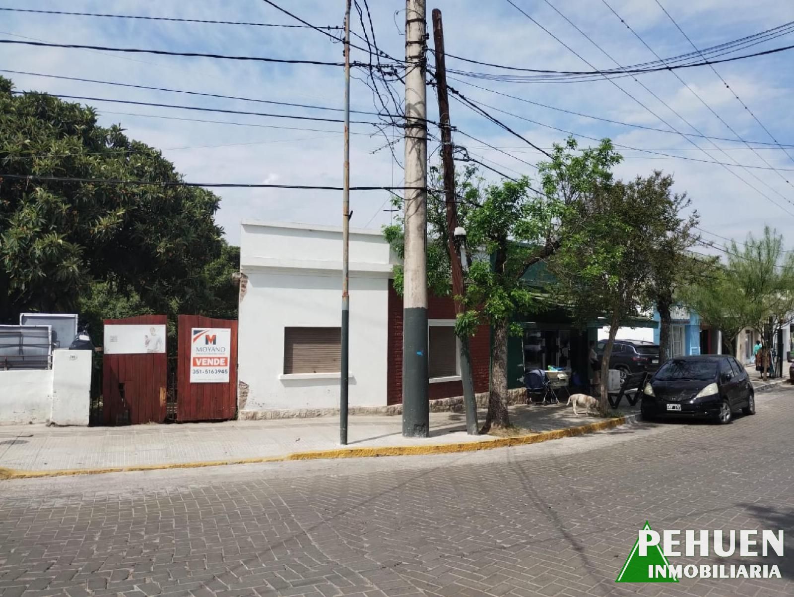 Belgrano 236