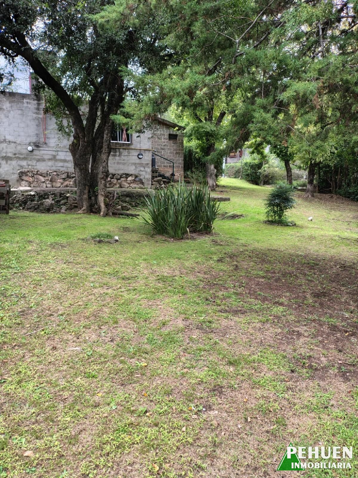 Cochabamba 485
