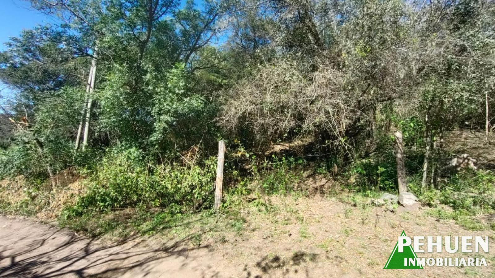 Campos Verdes