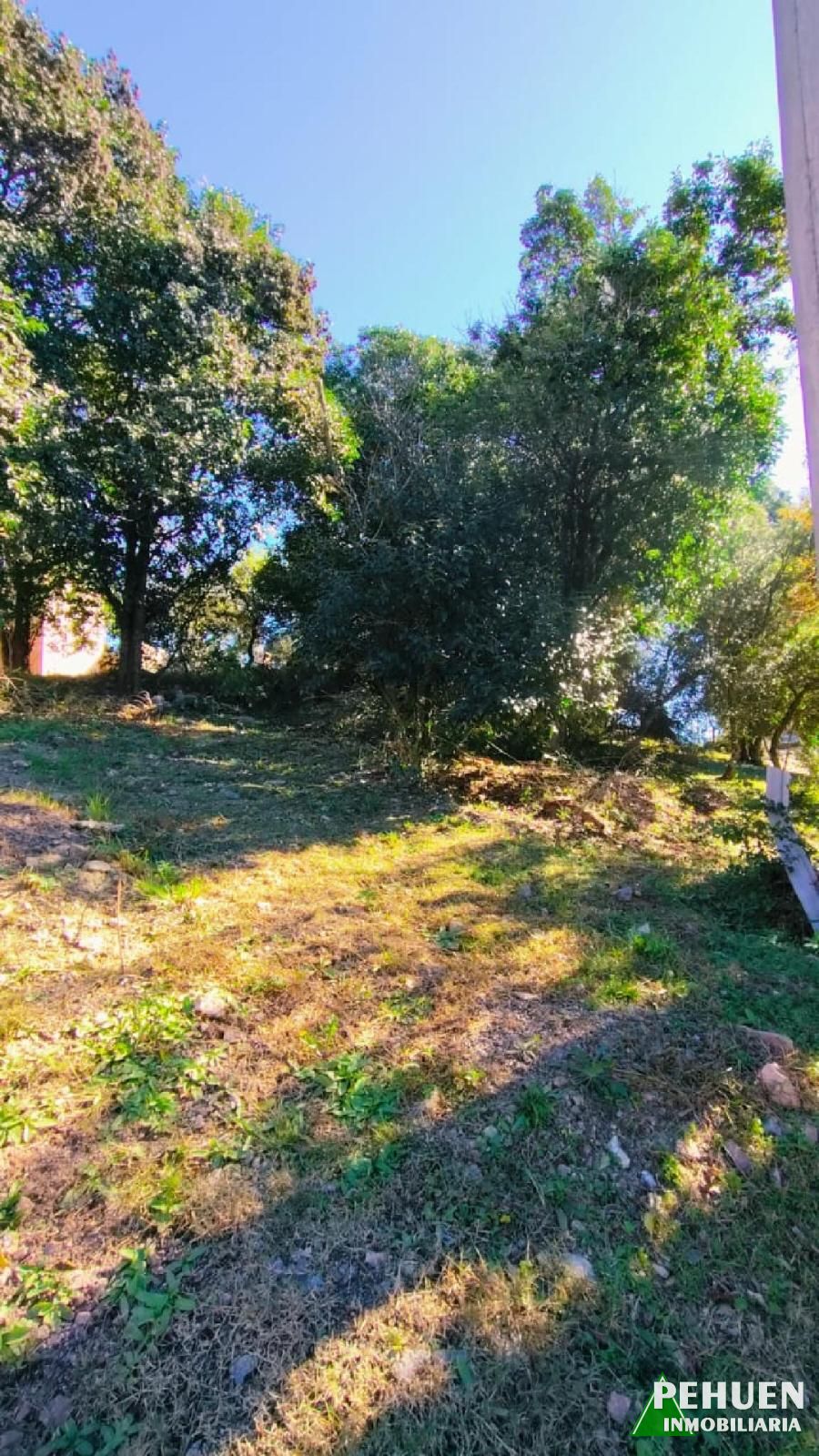 Campos Verdes