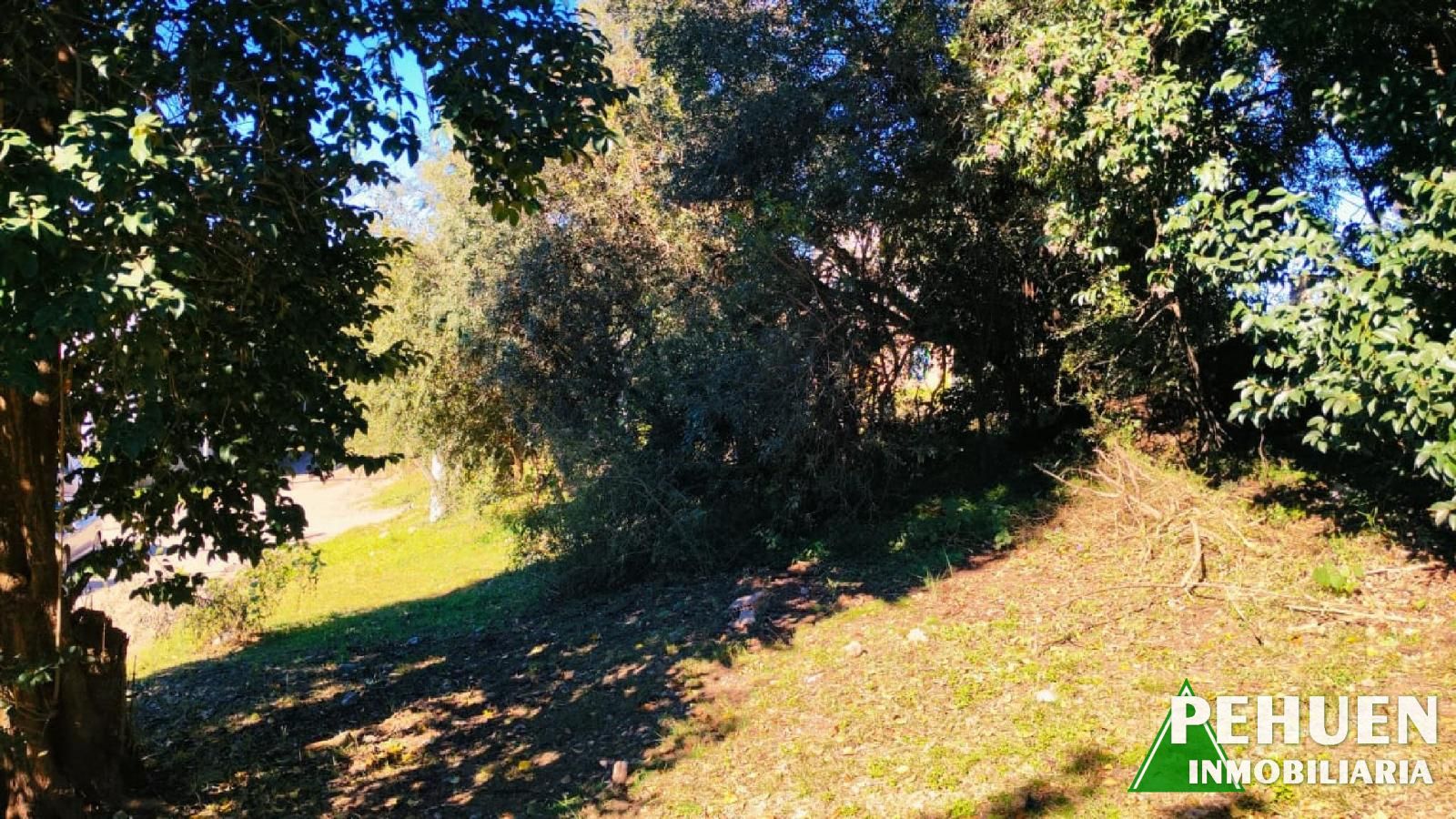 Campos Verdes