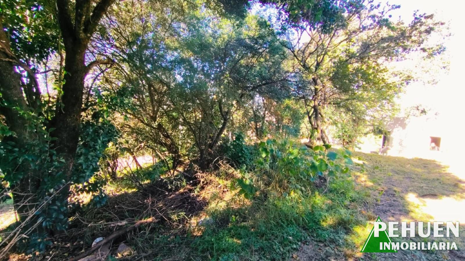 Campos Verdes