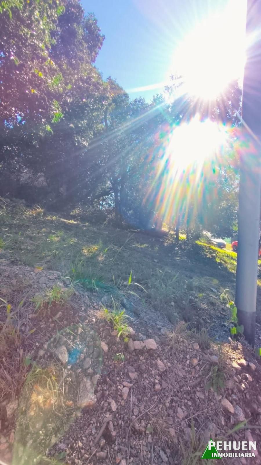 Campos Verdes