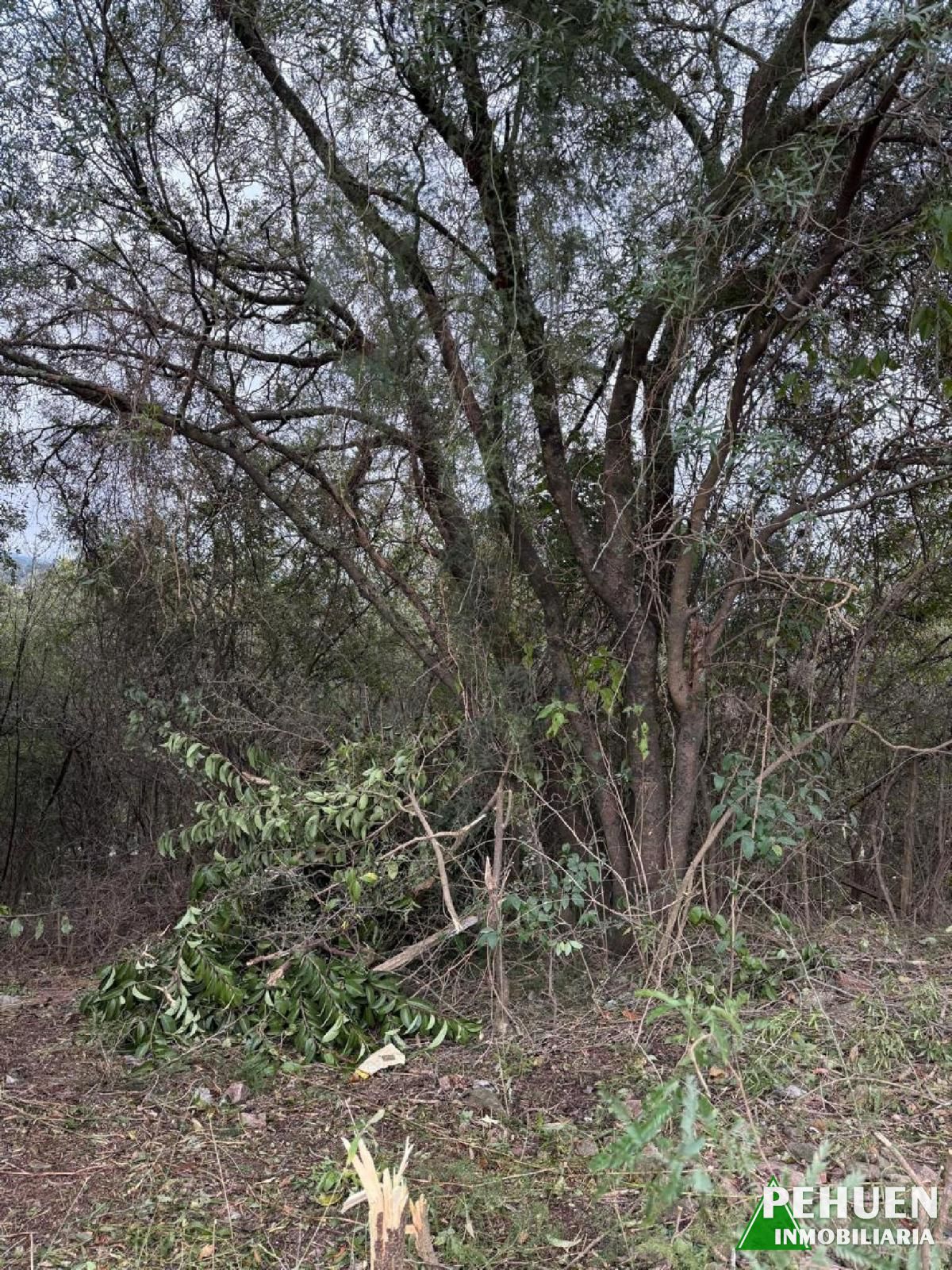 Terreno en venta en Bella Vista, Río Ceballos